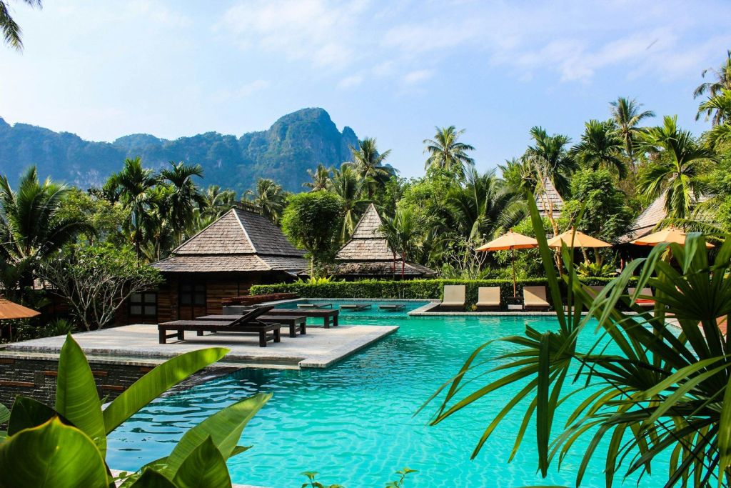 A tropical resort pool surrounded by palms